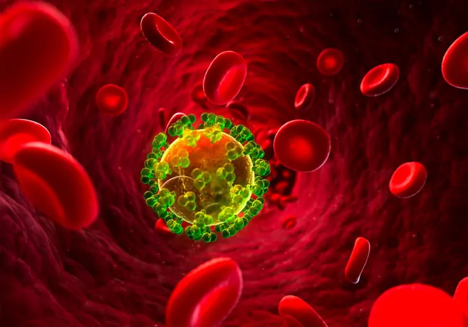 How Is HIV Transmitted