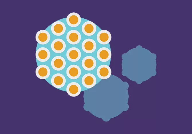 HPV & Related Cancers