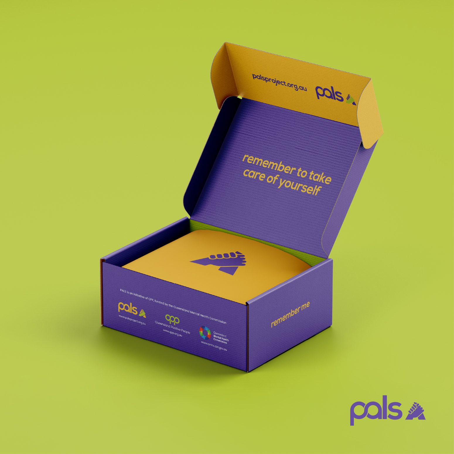 PALS 'Remember' Kit