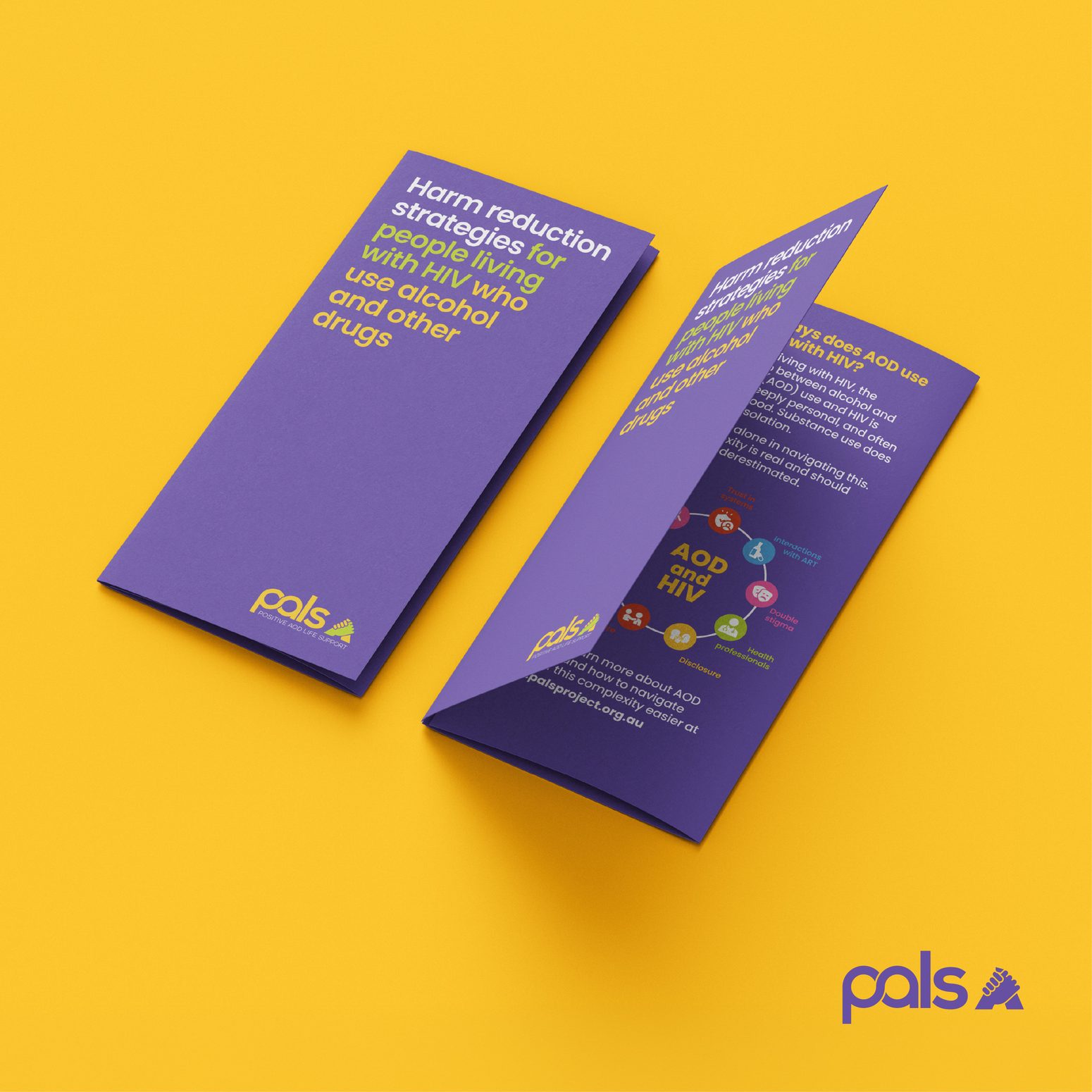 PALS Brochure